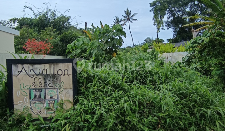 Tanah Sewa Dalam Komplek Vila Resort Keren Lodtunduhubud Tanah Sewa Dalam Komplek Vila Resort Keren Lodtunduhubud