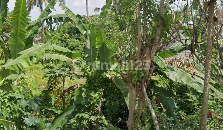 Tanah Cocok Untuk Villa Zona Kuning Harga Murah Tanah Cocok Untuk Villa Zona Kuning Harga Murah