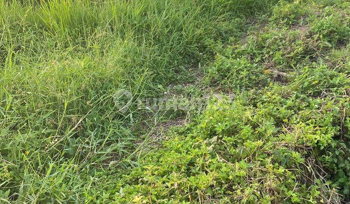 Tanah Cocok Bisnis Vila Rental Harga Murah 