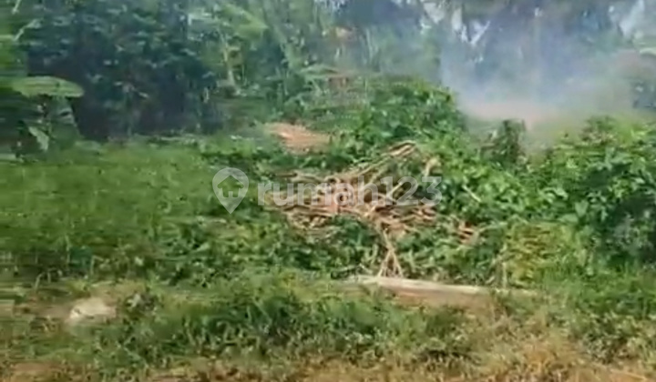 Tanah 1 Are Sakah Batuan Zona Kuning Siap Bangun Harga Murah Tanah 1 Are Sakah Batuan Zona Kuning Siap Bangun Harga Murah