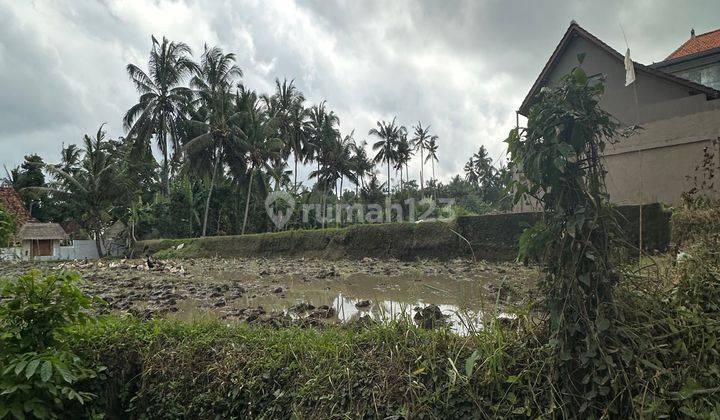 Land Near Central Ubud View Rice Fields Cheap Price 1