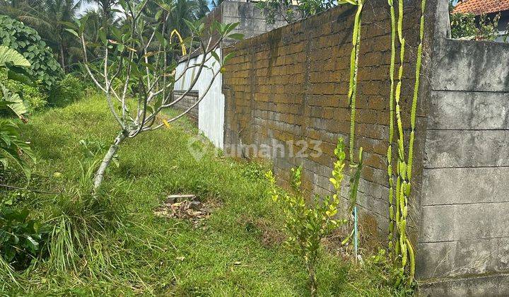 Tanah Murah View Sawah Cocok Villa Dan Rumah Pribadi 2