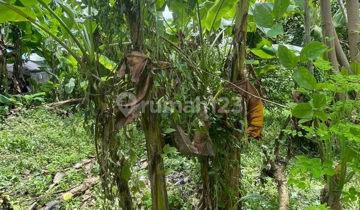Tanah View Sawah Bagus Siap Bangun Villa Rental 
