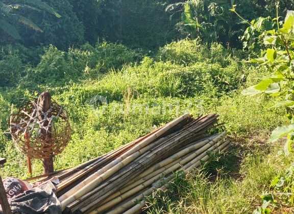 Cheap Land in Temesi Gianyar for Private Home Cheap Land in Temesi Gianyar for Private Home