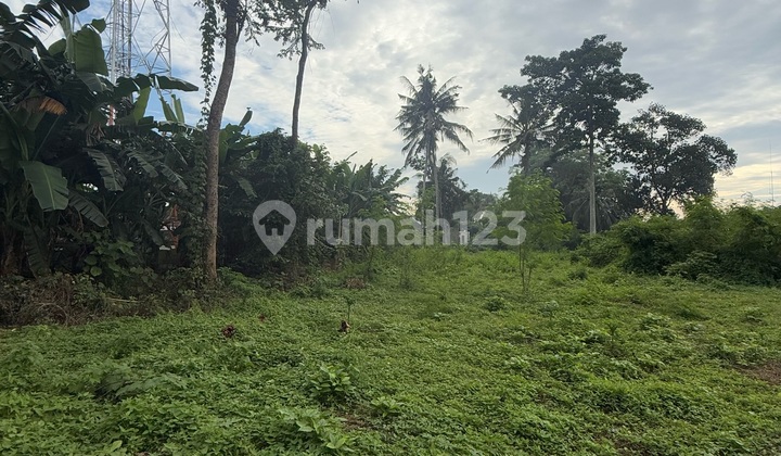 For Rent, Large Land Near Lodtunduh Main Road