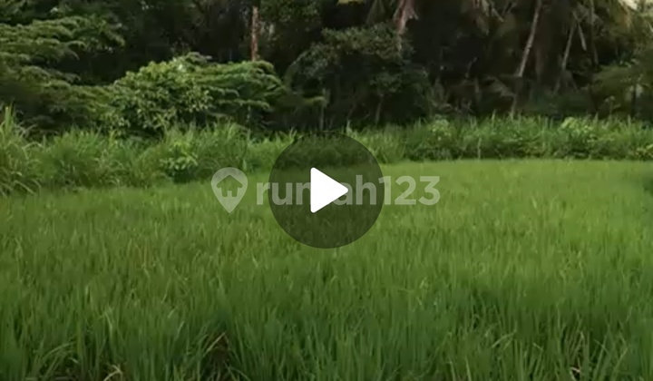 Land For Private Villa Super Beautiful View Good Road