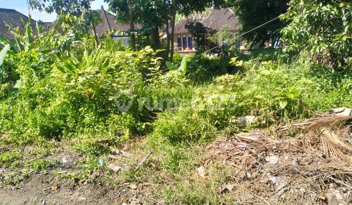 Tanah Sewa Zona Kuning Siap Bangun Harga Murah Aja