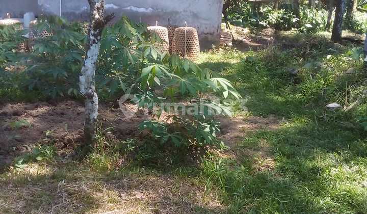Affordable Land Sale for Villa in a Quiet Location