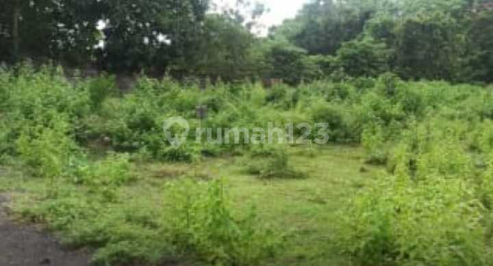 Jual Tanah di Kuta Selatan Dekat Pantai Pandawa Jual Tanah di Kuta Selatan Dekat Pantai Pandawa