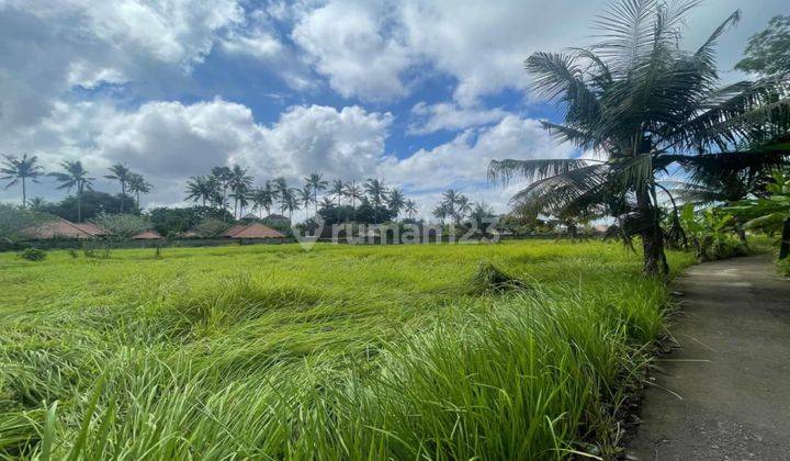 Yellow Zone land is suitable for plots in a very good location 1