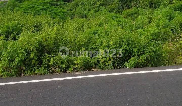 Good Land Next to Paved Road Ready to Build Rental Villa Good Land Next to Paved Road Ready to Build Rental Villa