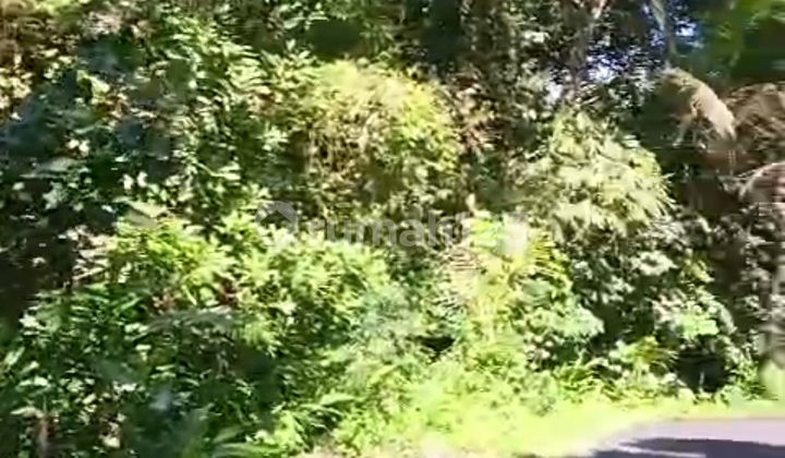 Cheap Land for Investment Near Gianyar City