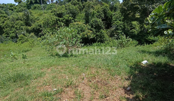 Tanah View Cantik Hutan Lembah Pinggir Jalan Besar Zona Kuning