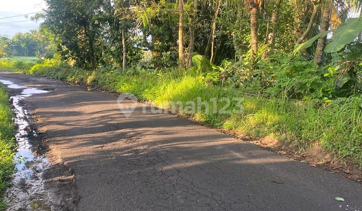 Dijual Tanah Murah Lokasi Selemadeg Tabanan