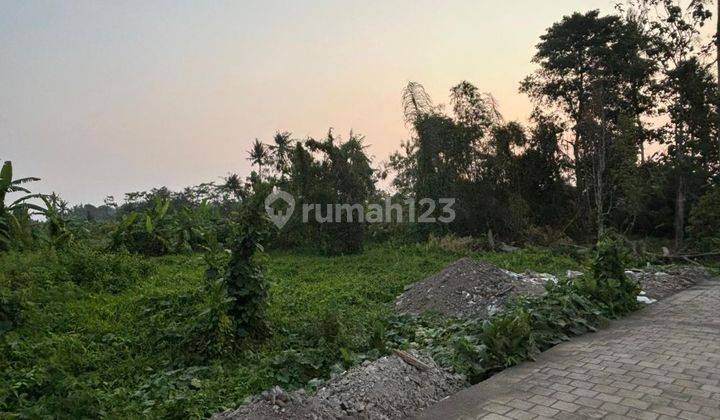 TANAH ZONA KUNING SIAP BANGUN VILLA RENTAL DEKAT CENTRAL UBUD 2