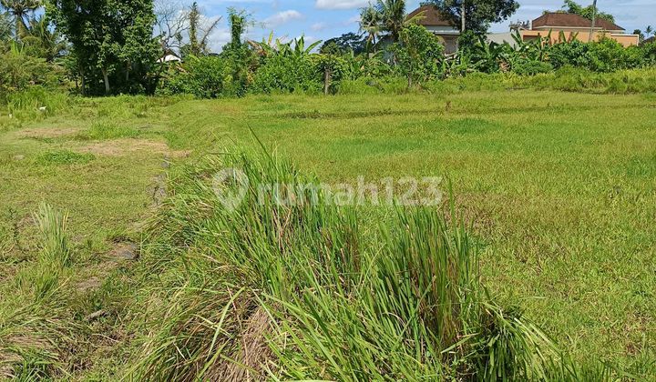 Suitable Land for Villa Hotel Resort Yellow Zone Ready to Build Suitable Land for Villa Hotel Resort Yellow Zone Ready to Build