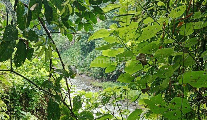 LAND FOR RENT IN UBUD AREA WIDE ROAD ACCESS 1