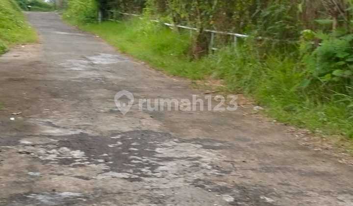 Rice Field View Lease Land Suitable for Villa Rental Near Ubud and Sanur Rice Field View Lease Land Suitable for Villa Rental Near Ubud and Sanur