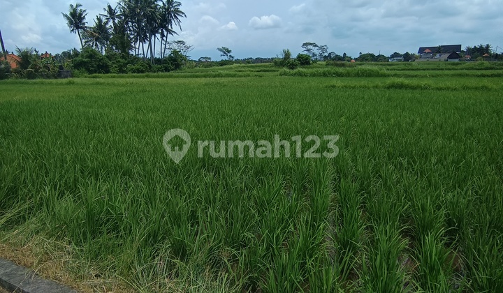 Tanah View Sawah Cantik Zona Kuning Siap Bangun Vila