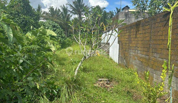 Tanah Murah View Sawah Cocok Villa Dan Rumah Pribadi 1