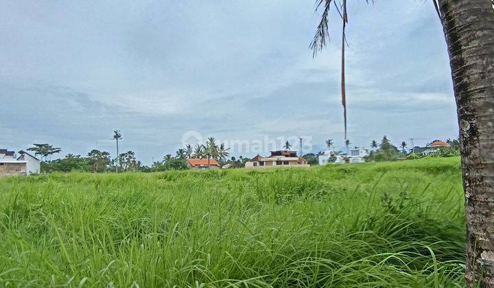 Tanah Sewa Cocok Villa Resto Cafe View Sawah Siap Bangun 2