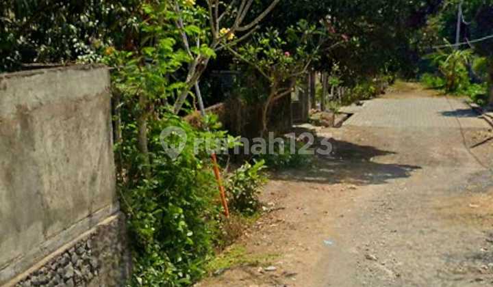 Affordable Land in West Gatsu Buluhindah Suitable for Private Homes Affordable Land in West Gatsu Buluhindah Suitable for Private Homes