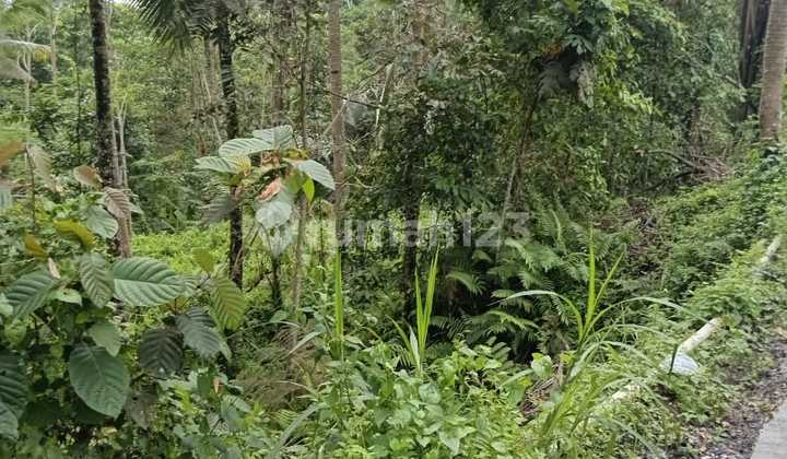 Nice View Land Suitable For Investment And Villa