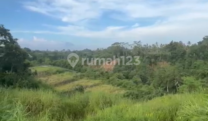 Tanah View Lembah Gunung Keren Lingkungan Villa 