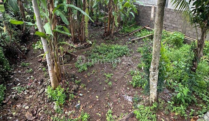 Tanah Sewa Zona Kuning Ukuran Kecil View Hutan Lingkungan Villa  2