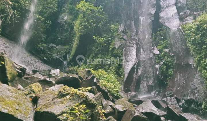 LAHAN PERKEBUNAN DI UBUD ADA AIR TERJUN DEKAT SUNGAI PETANU 1