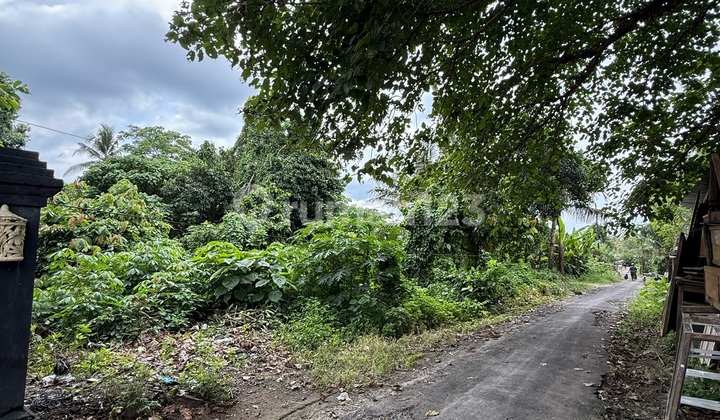 Disewakan Tanah Bagus di Ubud Zona Perumahan Lingkungan Villa Disewakan Tanah Bagus di Ubud Zona Perumahan Lingkungan Villa