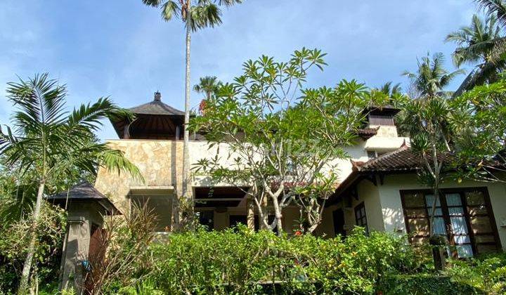 Vila Besar View Super Keren Ubud Central Harga Murah  2