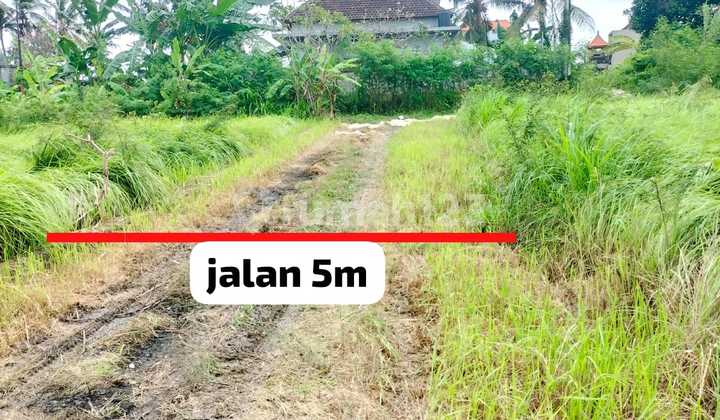 Cheap Land in Pering for Private Villa Houses Cheap Land in Pering for Private Villa Houses