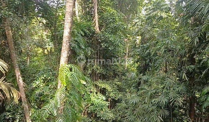 Tanah Sewa Zona Kuning View Cantik Cocok Bisnis Vila Rental  2