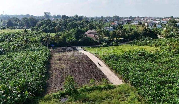 TANAH SIAP BANGUN LOKASI STRATEGIS DI TUMBAK BAYUH CANGGU 2