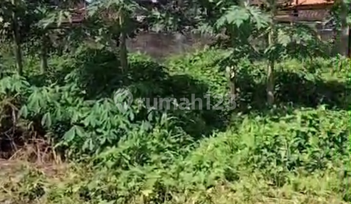 Termurah Di Mas Ubud Cocok Villa Apartment Kantor 