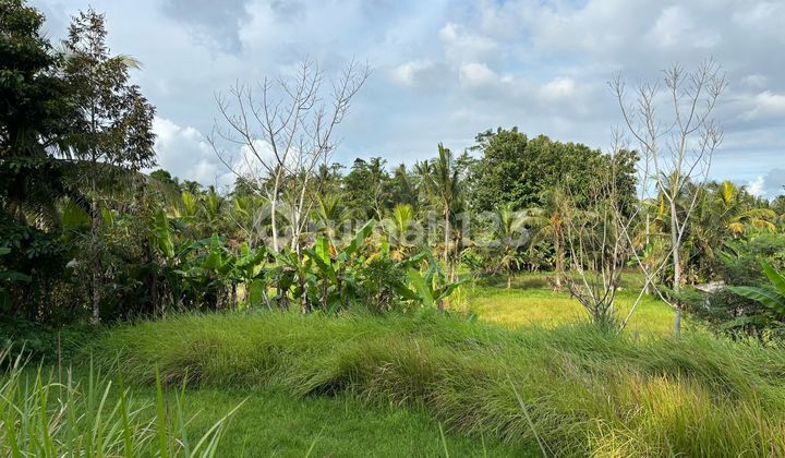 Tanah Siap Bangun Jalan Lebar View Bagus Tanah Siap Bangun Jalan Lebar View Bagus
