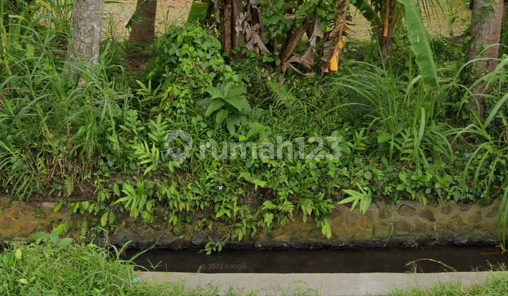 Tanah Murah View Sawah Jalan Aspal Cocok Vila Pribadi Tanah Murah View Sawah Jalan Aspal Cocok Vila Pribadi