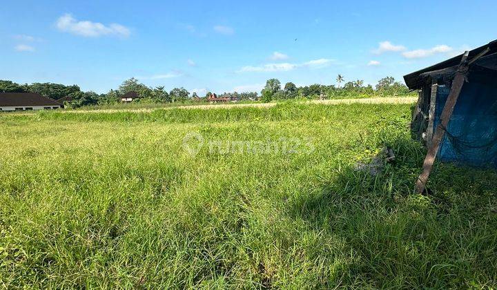 Tanah Sewa Zona Kuning View Sawah Abadi Cocok Komplek Villa 2