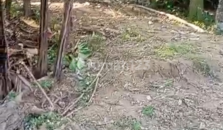 Tanah View Sungai Hutan Jalan Lebar Cocok Villa Rental Tanah View Sungai Hutan Jalan Lebar Cocok Villa Rental