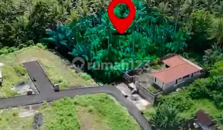 Land View Forest Environment Villa Restaurant Yellow Zone Land View Forest Environment Villa Restaurant Yellow Zone