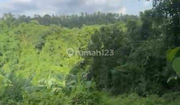 Tanah View Tebing Sungai Bukit Keren Di Central Ubud 2