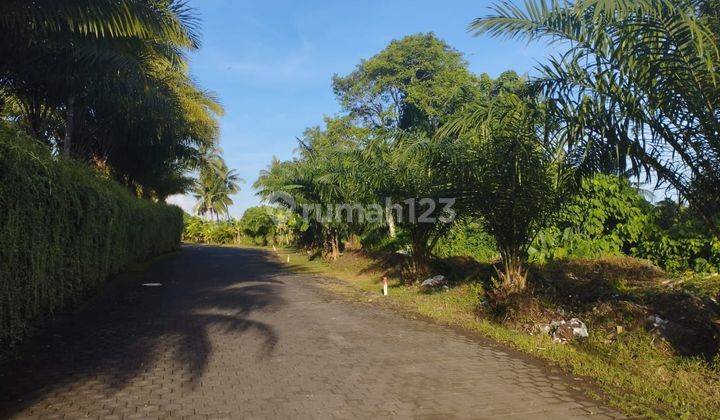 TANAH ZONA KUNING VIEW SUNGAI DAN SAWAH ABADI 