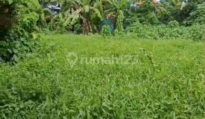 Land Lease for Cafe Restaurant Villa Cheap Price Rice Field View