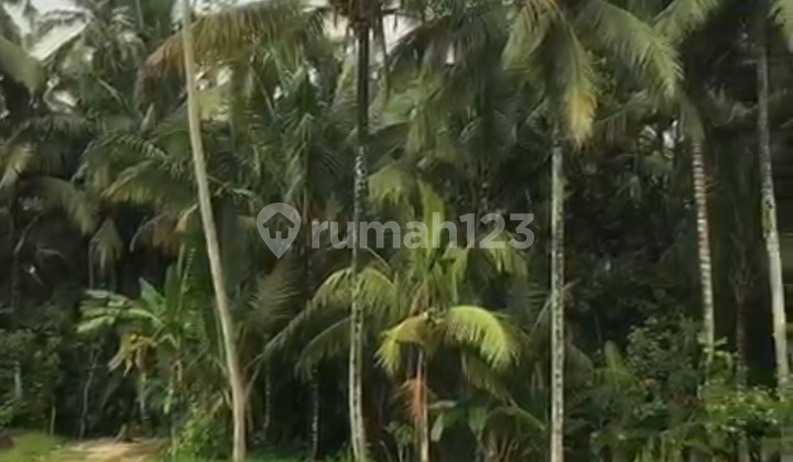 Affordable Land Suitable for Villa with Beautiful Views Pejeng Ubud Affordable Land Suitable for Villa with Beautiful Views Pejeng Ubud