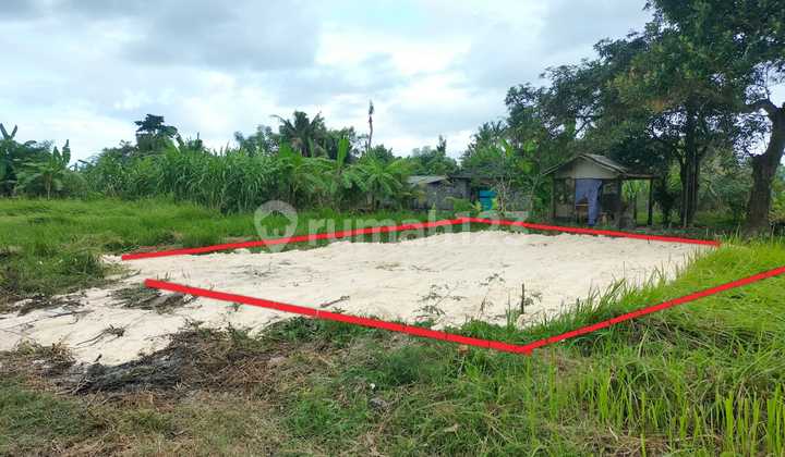 Cheap Land in Pering for Private Villa Houses Cheap Land in Pering for Private Villa Houses