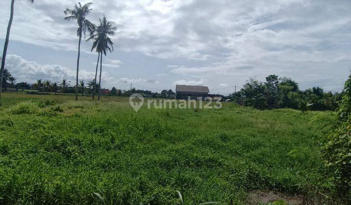 Tanah Zona Kuning View Sawah Harga Super Murah  1