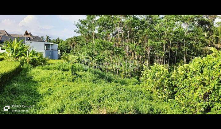 LAND LOS SUNGAI VIEW RICE FIELDS FOREST READY TO BUILD VILLA RENTAL 1