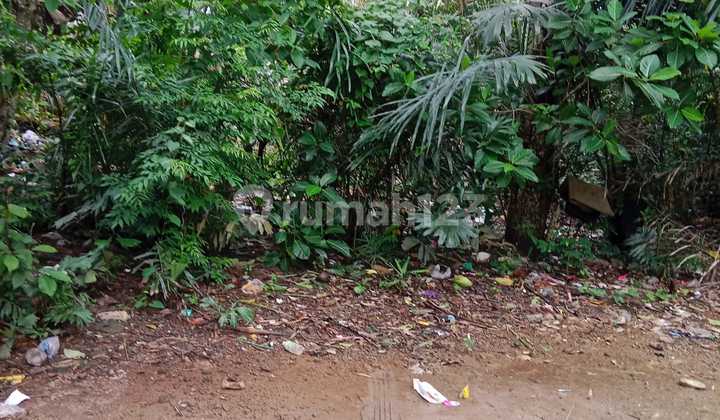 Tanah Murah Cocok Investasi Dekat Ubud Dan Denpasar