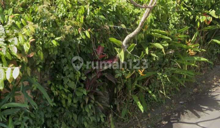 Dijual Tanah di Ubud Center Sangat Strategis Lingkungan Villa